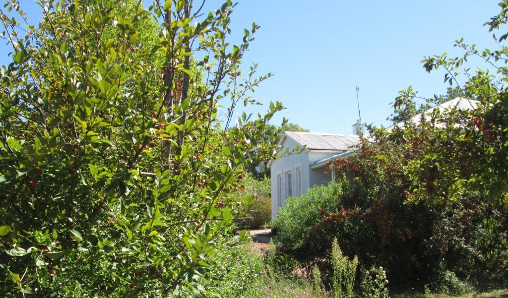 Impangele Guest House Swellendam Pokój zdjęcie